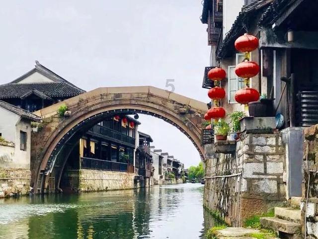 植物大战僵尸10
